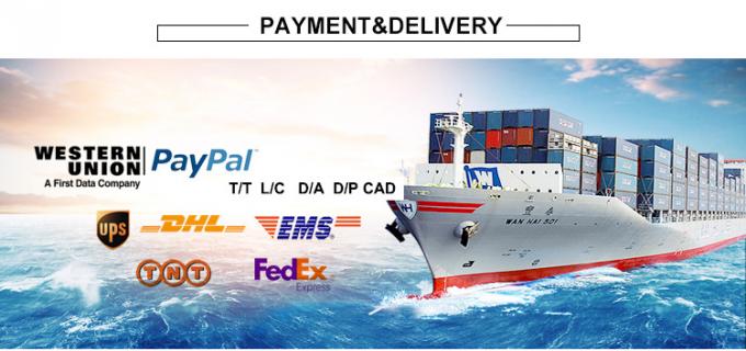 14Payment e Delivery.jpg
