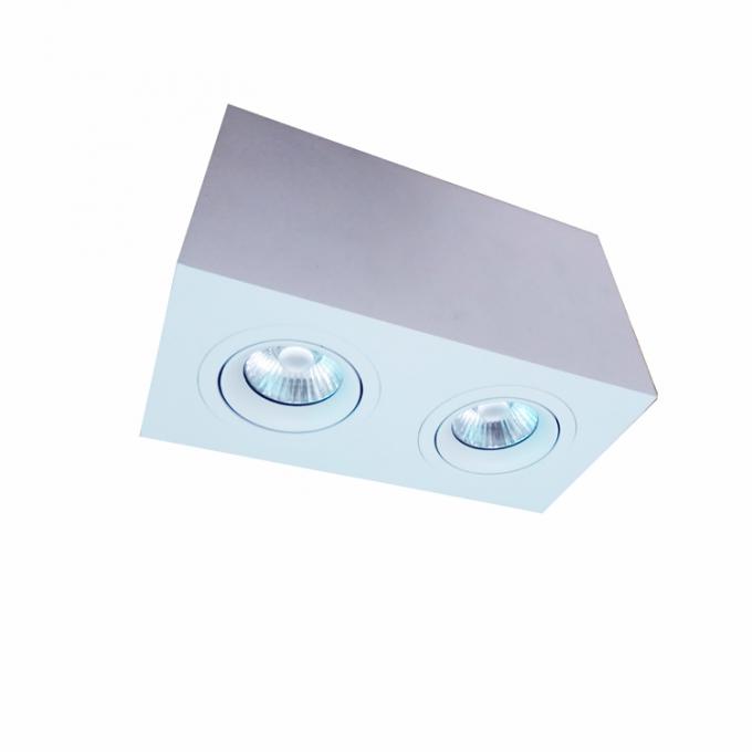 Montagem dobro Downlight 200*100*115mm da superfície do diodo emissor de luz da cabeça do retângulo